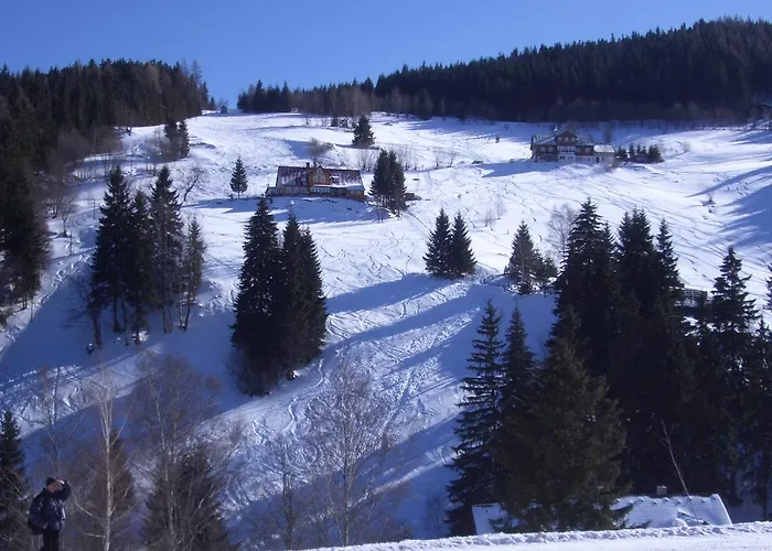 Casa de hóspedes Zaclersky Medved 3*